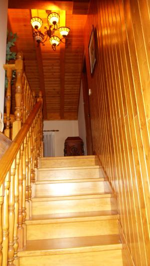 Escalera, friso y techos de madera